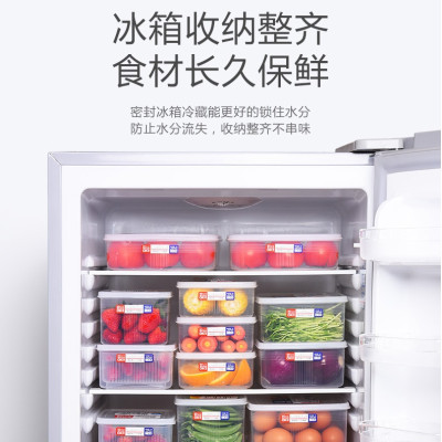 Combo 04 hộp nhựa cao cấp bảo quản thực phẩm Nakaya hình chữ nhật (Full size) - Nội địa Nhật Bản