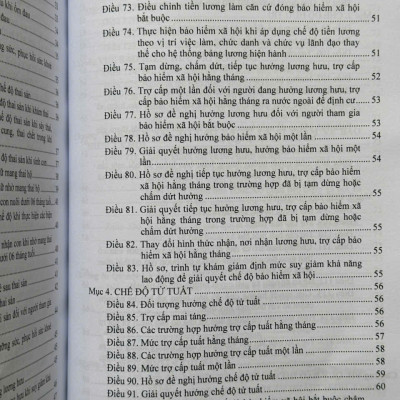 Sách Luật Bảo Hiểm Xã Hội năm 2024 – Quy Định Mới về Tiền Lương, Bảo Hiểm Y Tế và Chính Sách Hỗ Trợ Việc Làm - V2570T