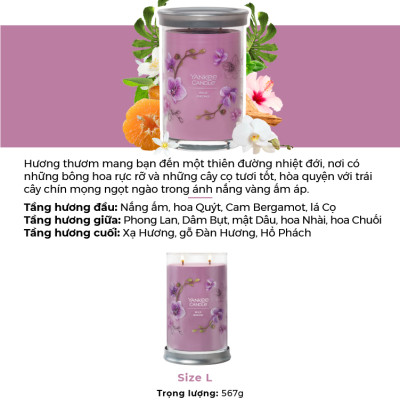 Nến ly tròn sáp đậu nành Yankee Candle size L (567g) - Wild Orchid