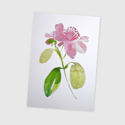 Giấy vẽ màu nước A5 giấy cao cấp có vân đẹp màu trắng sang, dòng giấy chuyên dụng chất giấy dày định lượng 260gsm nhập từ Ý 15 tờ TI599 Green Art- Hàng chính hãng