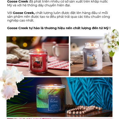 Nến hũ Goose Creek (680g) - Cherry Blossom