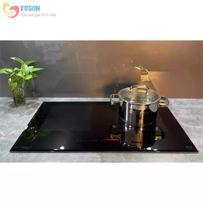 Bếp từ Eurosun EU-T999G - Hàng Chính Hãng