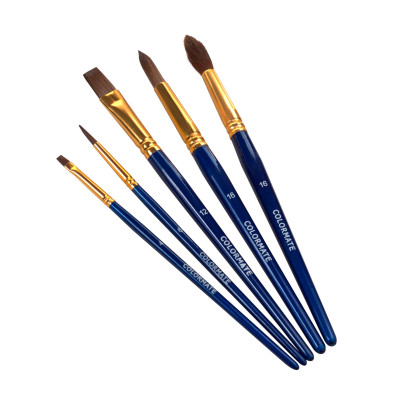 Bộ 5 Cây Cọ Vẽ Colormate - MS-05BRS