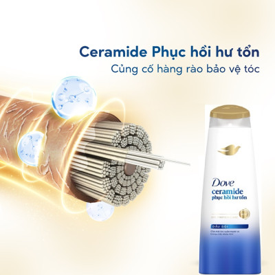 Dầu Gội Dove Phục Hồi Hư Tổn 325g