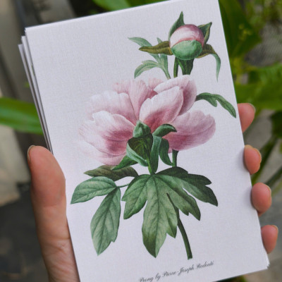 BỘ 100 POSTCARD PETALA & FOLIA - Minh Họa Thực Vật Nghệ Thuật - Giấy Mỹ Thuật 300g Cao Cấp - Nho Xanh 