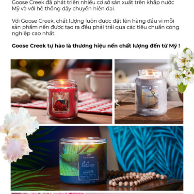 Nến ly Goose Creek (200g) - Vanilla Sands