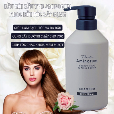 Dầu Gội Phục Hồi Tóc Gãy Rụng Hư Tổn Salon Link The Aminorum Shampoo (400 mL)