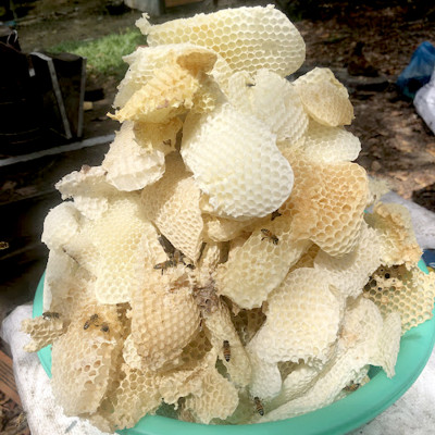 Nến Sáp Ong 29 Giờ Kèm Dĩa Gỗ Dừa 10cm : Khử Mùi Hôi Phòng Kín, Thơm Nhẹ Mùi Mật Ong, Giúp Ngủ Sâu, Không Độc Tố - HÀNG CHÍNH HÃNG