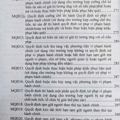 Luật Xử Lý Vi Phạm Hành Chính (sửa đổi, bổ sung năm 2025) các văn bản quy định chi tiết và biện pháp thi hành