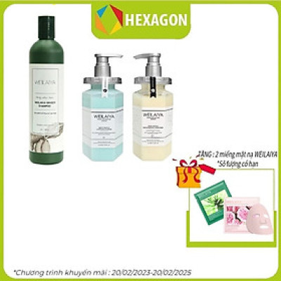 Combo Dầu gội xả phục hồi đa tầng nấm Truffle Weilaiya hương nước hoa và Dầu gội gừng Weilaiya cao cấp 400ml