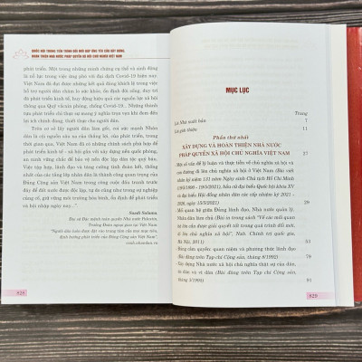 Quốc hội trong tiến trình đổi mới đáp ứng yêu cầu xây dựng, hoàn thiện Nhà nước pháp quyền xã hội chủ nghĩa Việt Nam