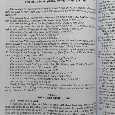 Sách Luật Xử Lý Vi Phạm Hành Chính Và Các Văn Bản Hướng Dẫn Thi Hành (V2601D)