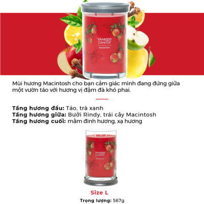 Nến ly tròn sáp đậu nành Yankee Candle size L (567g) - Macintosh