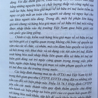 Kiểm Soát Hàng Hoá Giả Mạo Về Sở Hữu Trí Tuệ Tại Biên Giới Của Hải Quan Việt Nam
