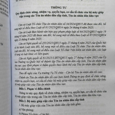 Sách Luật Tổ Chức Tòa Án Nhân Dân, Viện Kiểm Sát Nhân Dân sửa đổi, bổ sung năm 2025 (V2612T)
