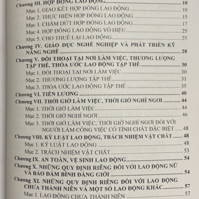 Bộ luật Lao động và Hệ thống thang bảng lương, phụ cấp, chế độ tiền lương, tiền thưởng đối với người hưởng lương làm việc