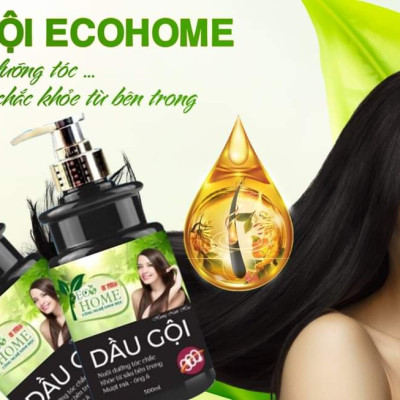 Dầu Gội ECOHOME Kim Ngân - Dầu Gội Hương Nước Hoa 500ml Công Nghệ Sinh Học giúp tóc Mượt Mà, Nuôi Dưỡng Từ Sâu Bên Trong