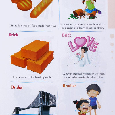 Từ Điển Tiếng Anh Bằng Tranh - My First Picture Dictionary