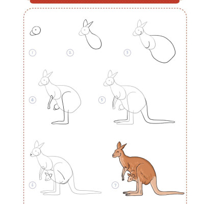 365 Ngày Luyện Vẽ Thế Giới Động Vật - Tập 2