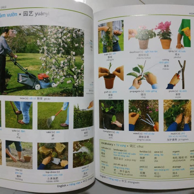 Combo 2 sách Từ điển hình ảnh Tam Ngữ Trung Anh Việt – Visual English Vietnamese Chinese Trilingual Dictionary + gửi tôi thời Thanh Xuân song ngữ Trung việt có phiên âm MP3 nghe+DVD tài liệu