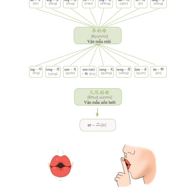 Học Nhanh Nhớ Lâu 1500 Từ Vựng Tiếng Trung Thông Dụng