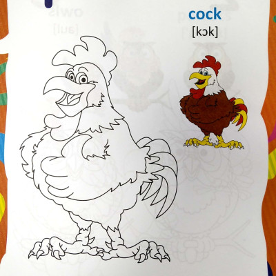 Tiếng Anh Đầu Tiên Của Bé - Chữ Số Hình Dạng (Song Ngữ Anh Việt)