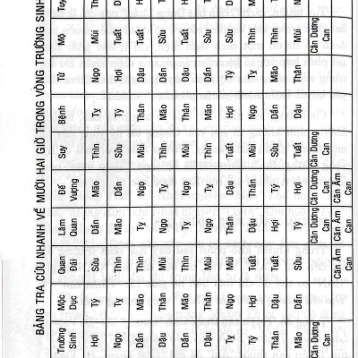 Dụng Thần Bát Tự Trong Ngũ Hành Số Mệnh Học (Tái Bản 2023)