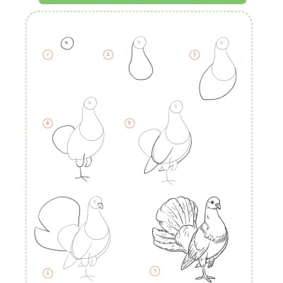 365 Ngày Luyện Vẽ Thế Giới Động Vật - Tập 2