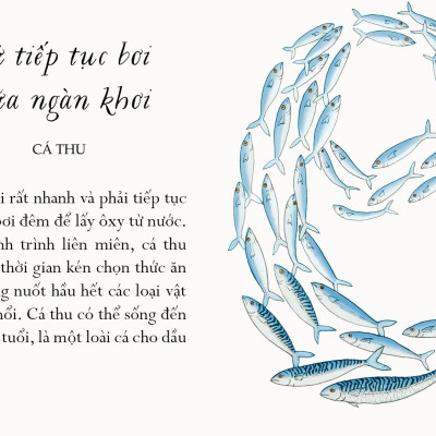 Sống Một Đời Tựa Biển Khơi - Những Bài Học Trí Tuệ Nhẹ Nhàng Sâu Lắng Của Đại Dương