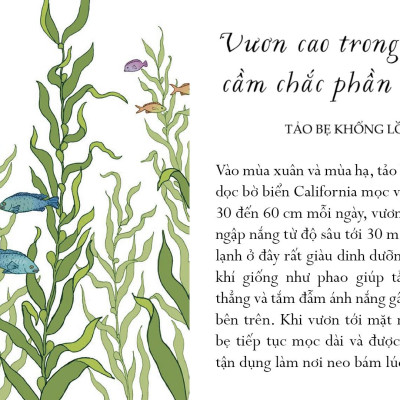 Sống Một Đời Tựa Biển Khơi - Những Bài Học Trí Tuệ Nhẹ Nhàng Sâu Lắng Của Đại Dương