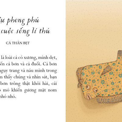 Sống Một Đời Tựa Biển Khơi - Những Bài Học Trí Tuệ Nhẹ Nhàng Sâu Lắng Của Đại Dương