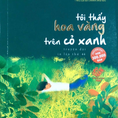 Tôi Thấy Hoa Vàng Trên Cỏ Xanh