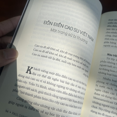 DƯỚI TÁN CHÒ NÂU SÀI GÒN – song ngữ Việt – Anh – Trần Thị NgH – Paul Christiansen