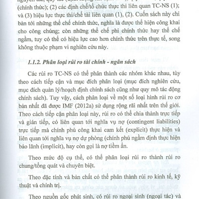 Rủi Ro Tài Chính - Ngân Sách: Lý Luận, Thực Tiễn Và Giải Pháp Chính Sách Cho Việt Nam