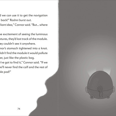 The Secret Explorers And The Lost Whales