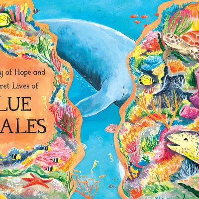 Hope The Whale