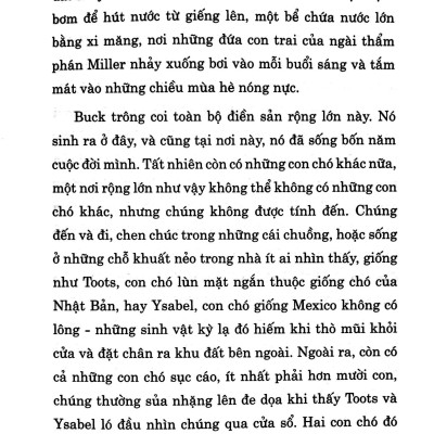 Tiếng Gọi Của Hoang Dã (Tái Bản 2019)