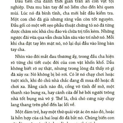 Những Thiên Thần Mất Tích