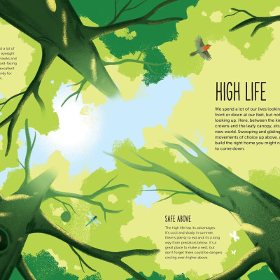 High: Soar To New Heights