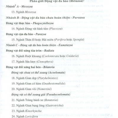 Động Vật Học Có Xương Sống (Tái bản lần thứ tám - năm 2023)