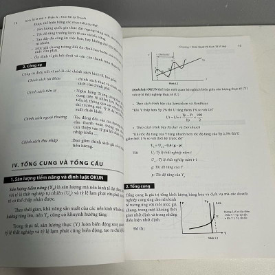 Sách - Tóm Tắt - Bài Tập - Trắc Nghiệm Kinh Tế Vĩ Mô (Trường ĐH Kinh Tế TP. Hồ Chí Minh)