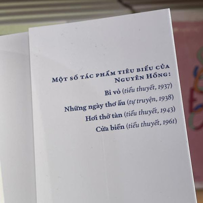 Sách - Những ngày thơ ấu (Việt Nam danh tác) (Nhã Nam HCM)