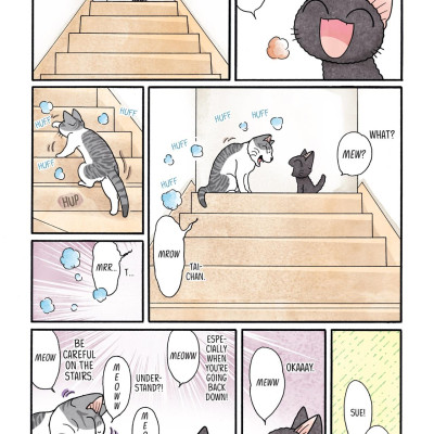 Sue & Tai-chan 3 (Graphic Novels)