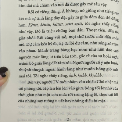 Sách - Người TV (Haruki Murakami) (Nhã Nam Official)