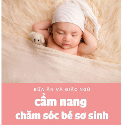 Bữa Ăn Và Giấc Ngủ - Cẩm Nang Chăm Sóc Bé Sơ Sinh -  Hachun Lyonnet (Hà Chũn)