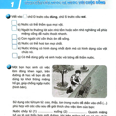 Sách Giáo Khoa Vở Bài Tập Khoa Học 4 (Kết Nối) (Chuẩn)