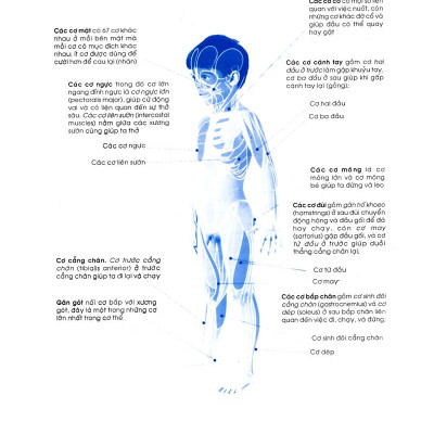 Bên Con Khi Con Đau Bệnh