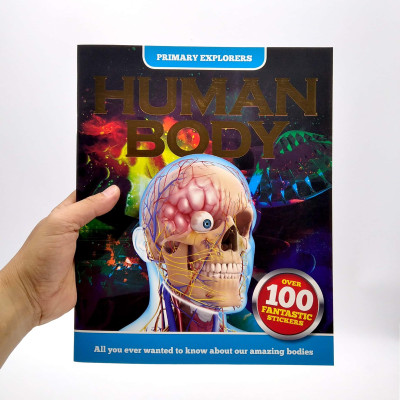 Primary Explorers: Human Body