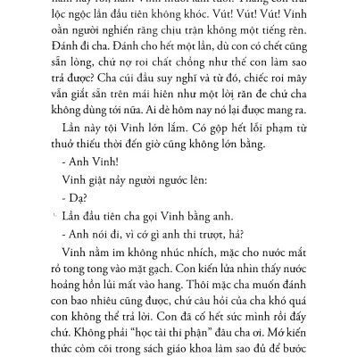 Màu Rừng Ruộng
