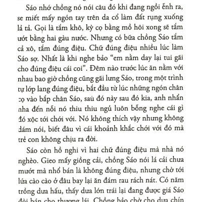 Khói Trời Lộng Lẫy  - Nguyễn Ngọc Tư, Trẻ